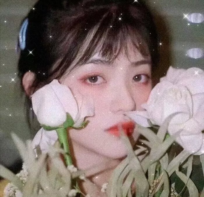 犹在镜中
